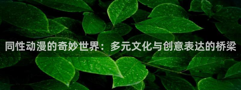 里番本子漫画大全：同性动漫的奇妙世界：多元文化与创意表达的桥梁