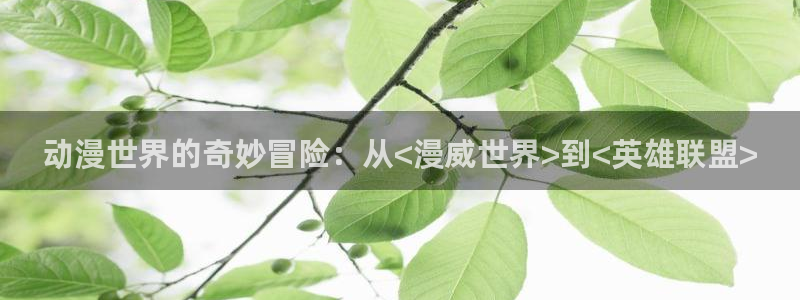好看的里番动漫推荐：动漫世界的奇妙冒险：从<漫威世界>到<英雄联盟>