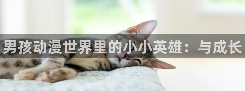 类似黑兽里番的动漫：男孩动漫世界里的小小英雄：与成长