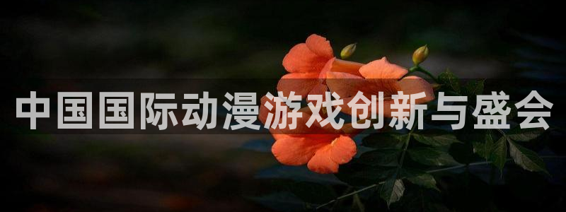 里番动画观看：中国国际动漫游戏创新与盛会