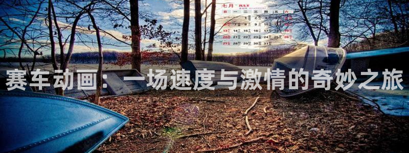 里番肉肉漫画：赛车动画：一场速度与激情的奇妙之旅