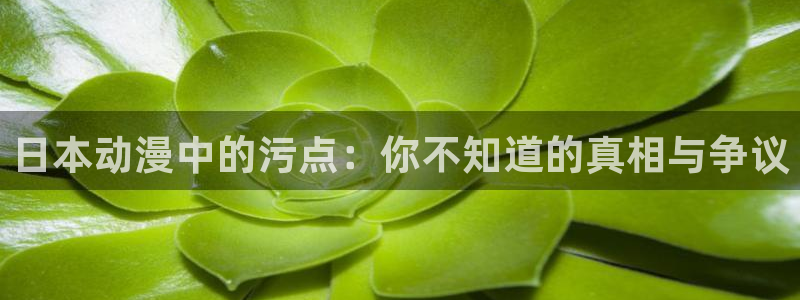 里番动漫下载：日本动漫中的污点：你不知道的真相与争议