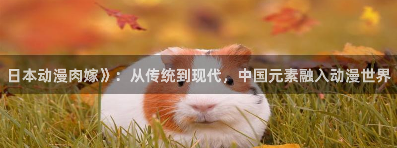 里番动漫全集：日本动漫肉嫁》：从传统到现代，中国元素融入动漫世界