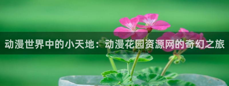 有那些好看里番动漫：动漫世界中的小天地：动漫花园资源网的奇幻之旅