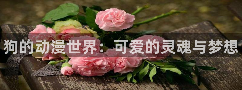 里番嗨动漫：狗的动漫世界：可爱的灵魂与梦想